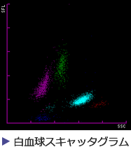 白血球スキャッタグラム