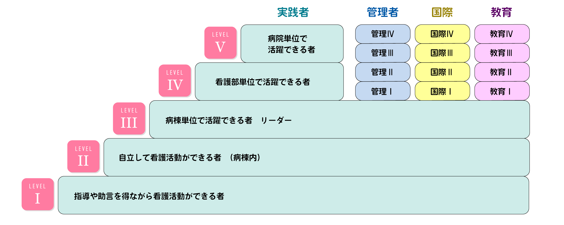 キャリア開発ラダー制度