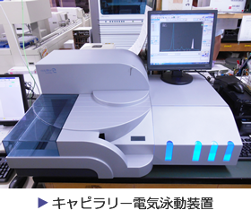 キャピラリー電気泳動装置