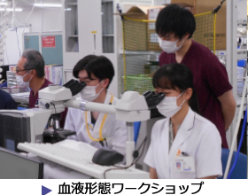 血液形態ワークショップ