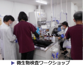 微生物検査ワークショップ