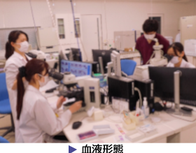 血液形態